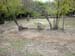 FW-Zoo_665