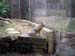 FW-Zoo_714