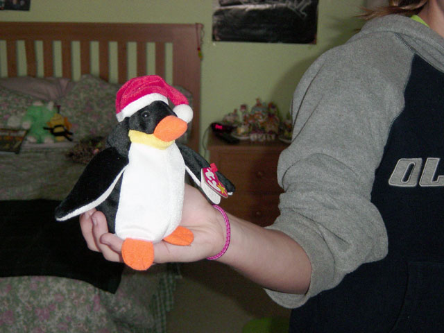 Kirsti's Penguin